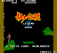The Legend of Kage cabinet