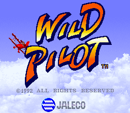 Wild Pilot cabinet